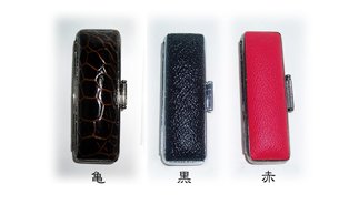 ケース付 ケース付